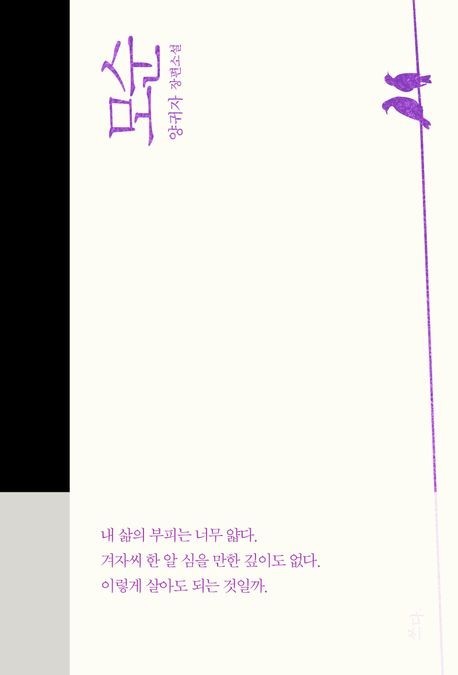 Contradictions Korean Language Paperback