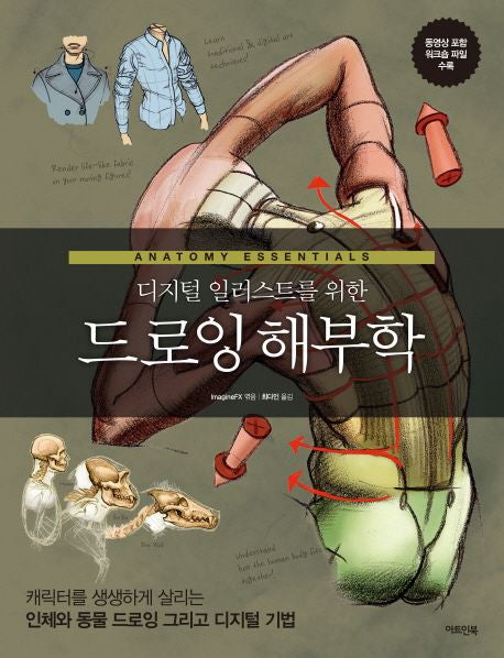 Anatomy for Digital Illustration (Korean Edition)