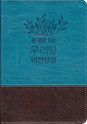 Big Letter Woorimal Vision Bible Book Korean Edition