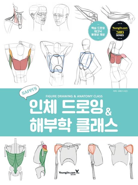 Saebbi’s Figure Drawing & Anatomy Class (Korean Edition)