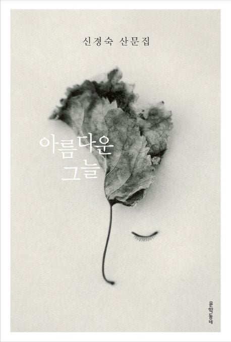 A Beautiful Shade Korean Edition