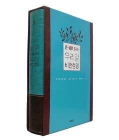 Big Letter Woorimal Vision Bible Book Korean Edition