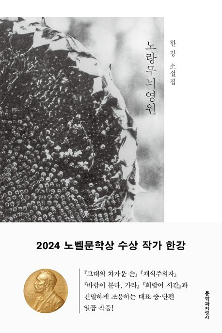 Yellow Pattern Eternity by 한강(Han Kang) Original Korean Edition